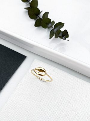 Anillo Concha