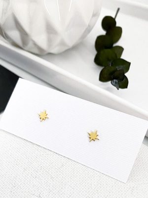 Mini Pendientes Estrella Polar